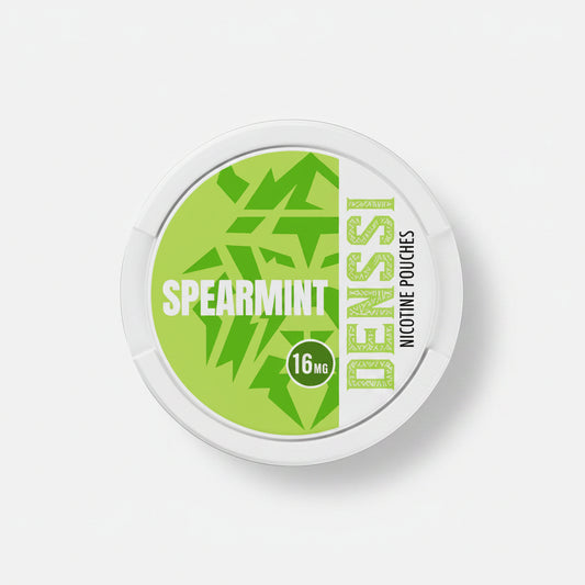 Denssi Spearmint Pack of 10
