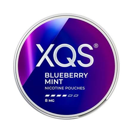 XQS Blueberry Mint Pack of 10