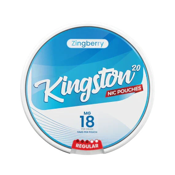 Kingston Nicotine Pouch-Box of 10