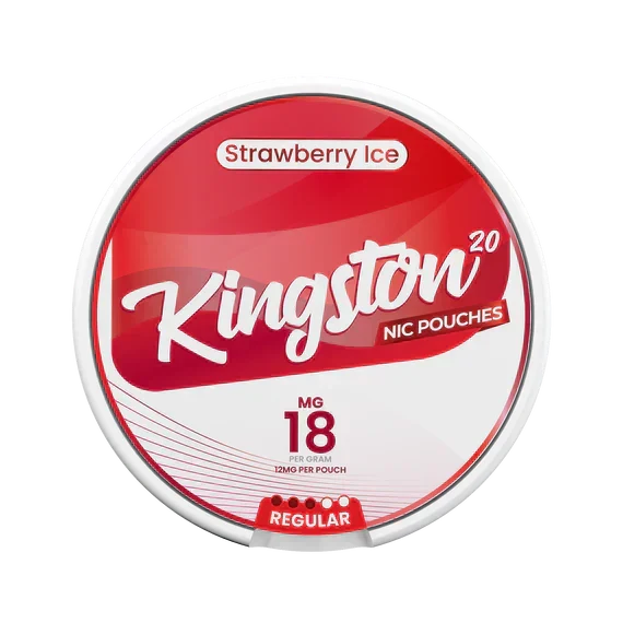 Kingston Nicotine Pouch-Box of 10