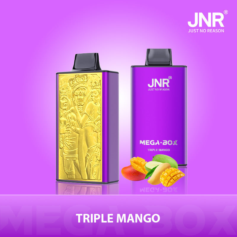 JNR Mega Box 25000 Puffs Disposable Vape - Flavour