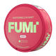 FUMI Mini Watermelon Mint Pack of 10