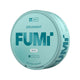 FUMI Mini Spearmint Pack of 10