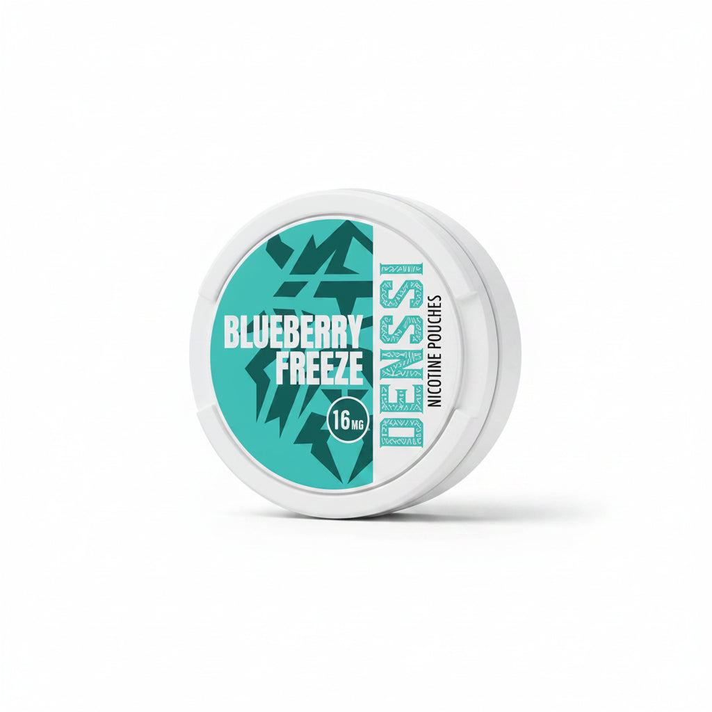 Denssi Blueberry Freeze Pack of 10