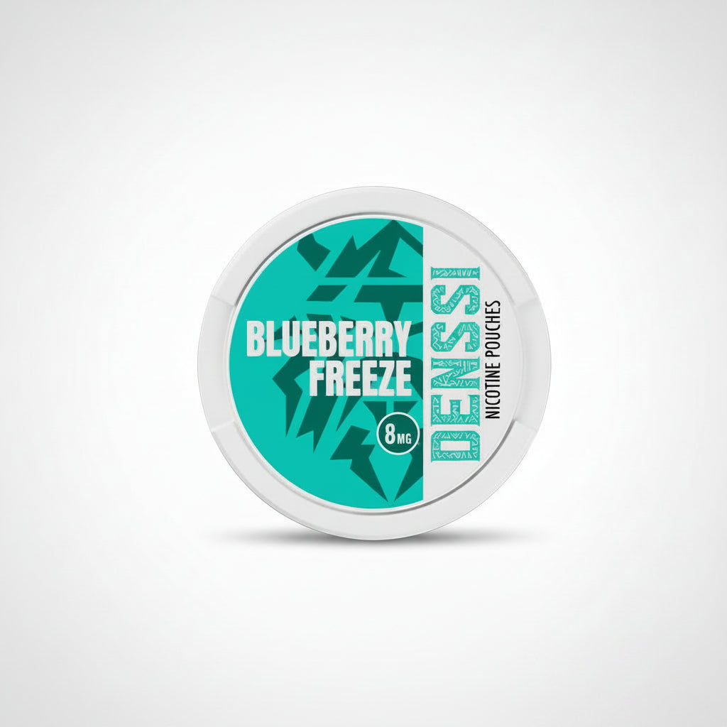 Denssi Blueberry Freeze Pack of 10