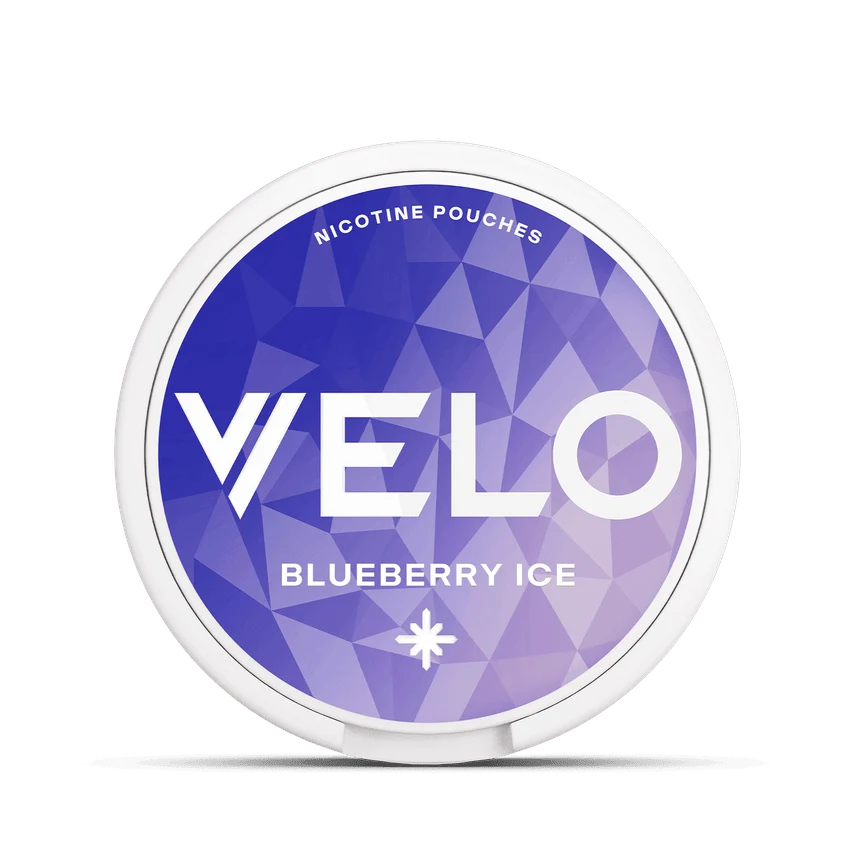 VELO Blueberry Ice Pack of 10