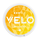 VELO Mango Ice Pack of 10