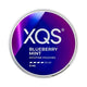 XQS Blueberry Mint Pack of 10