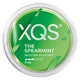 XQS Spearmint Pack of 10