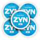 ZYN Cool Mint 6mg Bundle (10-Pack)