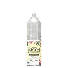 Bloom 10ml Nic Salt (Pack of 10)