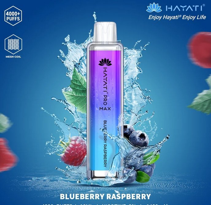Hayati Pro Max 4000 Puffs - Box of 10 - Flavour