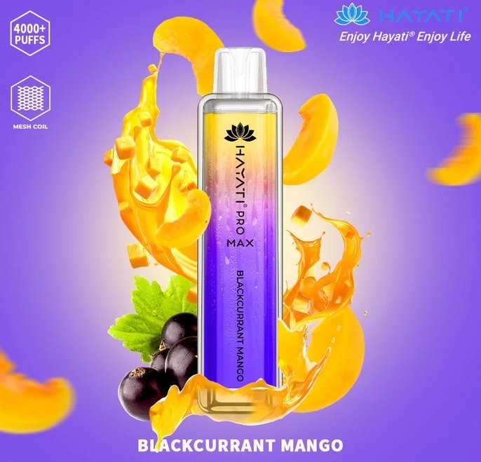 Hayati Pro Max 4000 Disposable Vape Box of 10 - Blaccurrant Mango